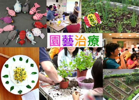 台灣 園藝 輔助 治療 協會